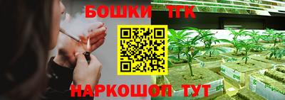 гидропоника Будённовск