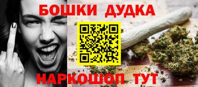 гидропоника Будённовск