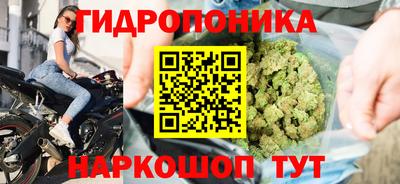гидропоника Будённовск