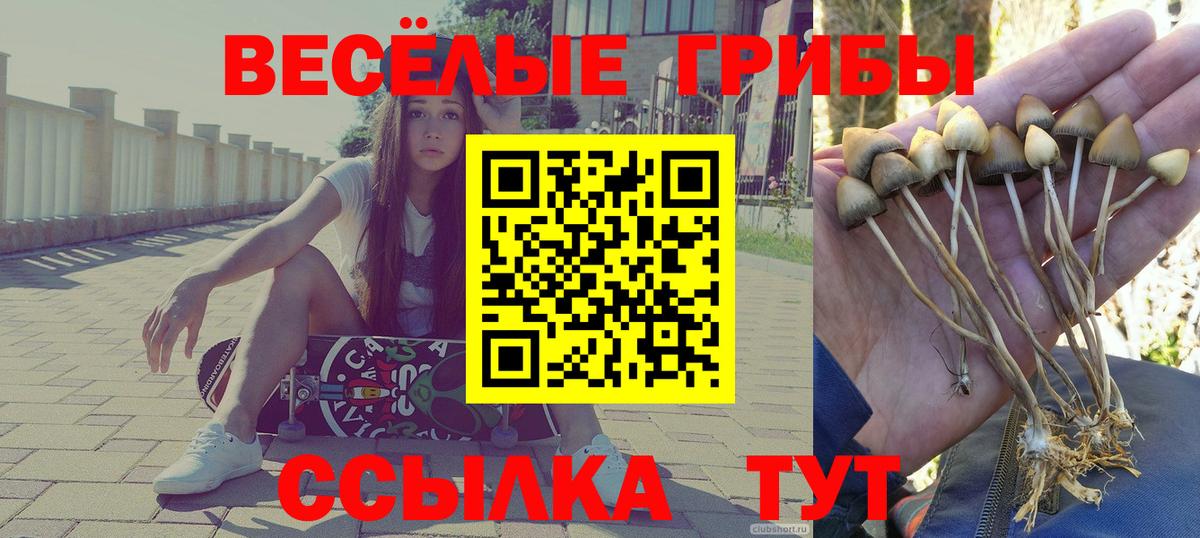 Глазов  Псилоцибиновые грибы мухоморы  Вход с VPN  купить наркотик  Псилоцибиновые грибы Cubensis 